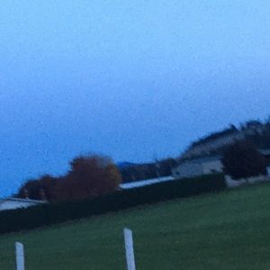 Meet your Posher, Cassie